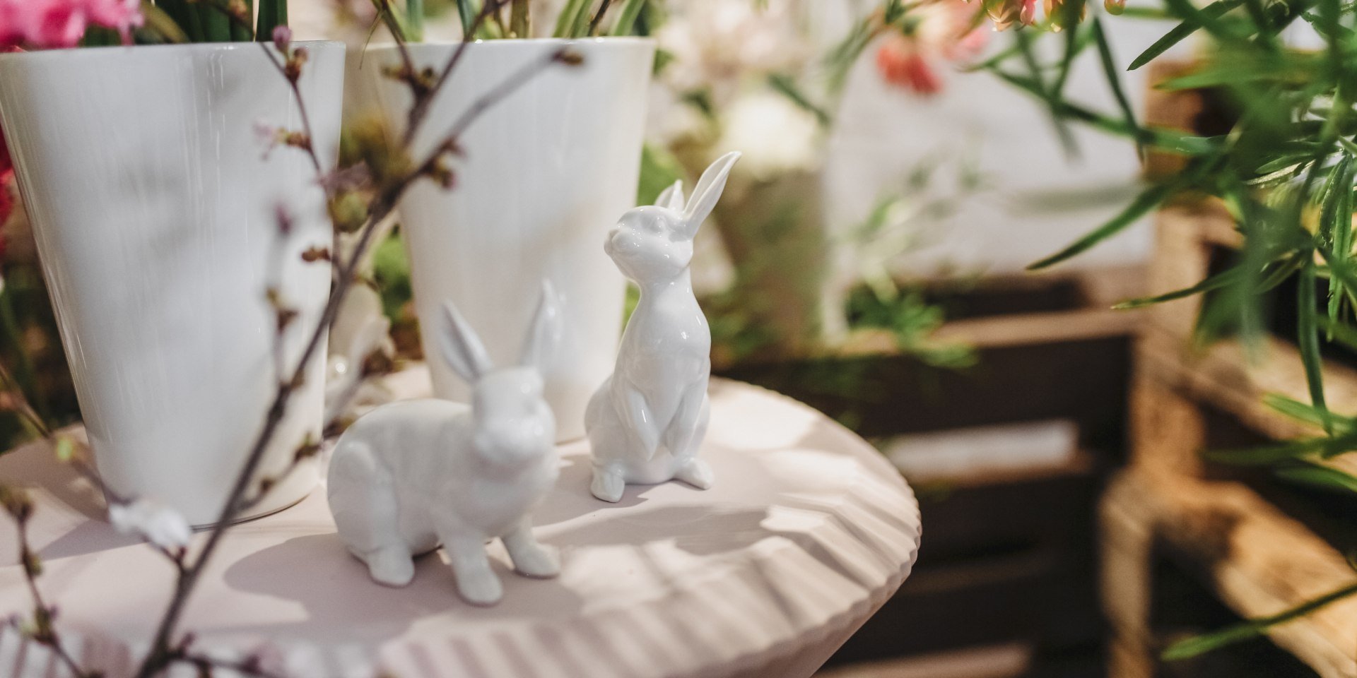 Der Fürstenberg Hase lädt ein!, © Claudia Warneke