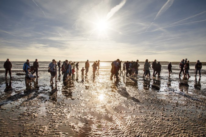 Schlick-Wanderung im Wattenmeer