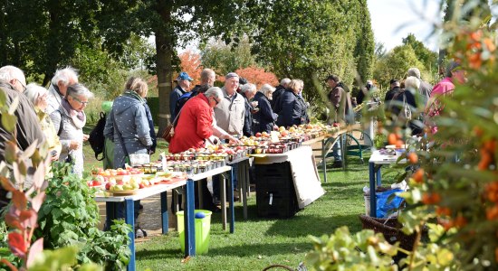 Herbstmarkt Park der Gärten, © Park der Gärten