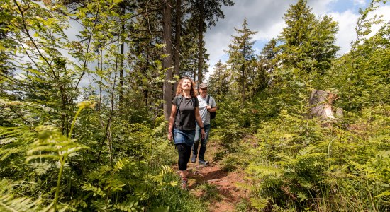 Wanderung Hils, © SVR/KörnerPaeslack