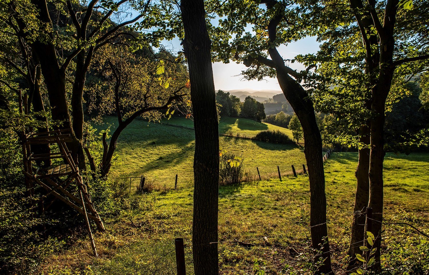 Wilder Vogler, © Solling-Vogler-Region im Weserbergland e.V./ Jörg Mitzkat