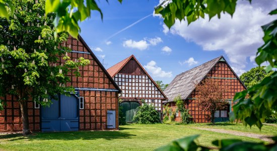 Drei Fachwerkhöfe im Rundlingsdorf Lübeln, © TourismusMarketing Niedersachsen GmbH / Markus Tiemann