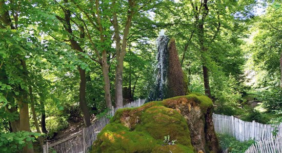 Wasserbaum , © Flecken Salzhemmendorf