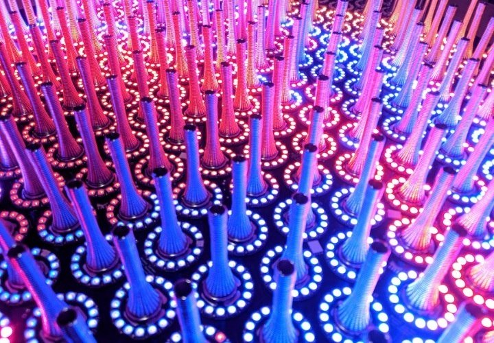 Detail Quantum Jungle, © Exploratorium/Ida Høyrup