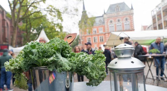 Grünkohl auf dem Rathausmarkt Oldenburg, © OTM | Sascha Stüber