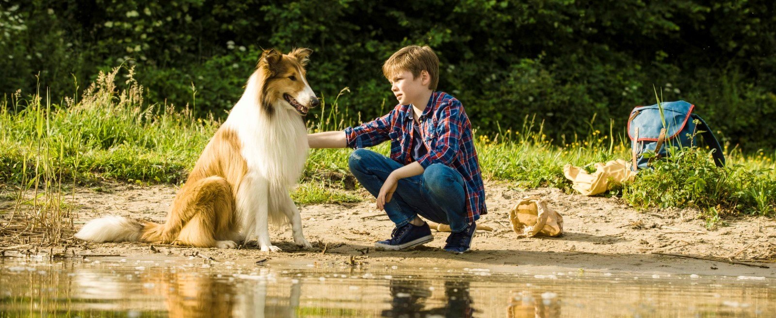 Filmszene aus Lassie - Eine abenteuerliche Reise, © Warner Brothers Deutschland