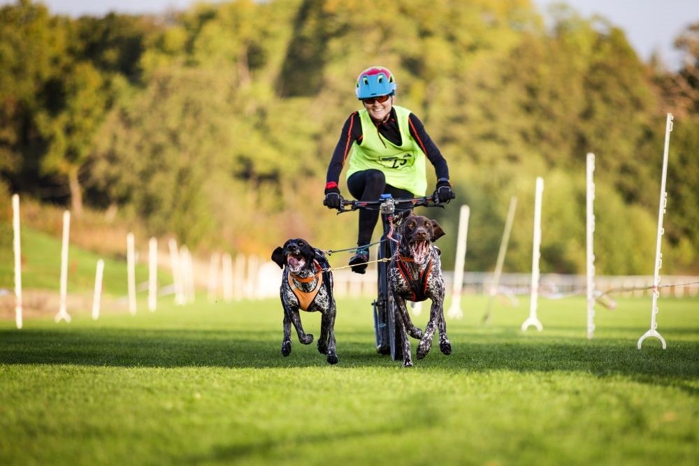 Luchstrail, © Ralf Metschulat,  Niedersächsischer Schlittenhundesportverband e.V./Johannes Heyn