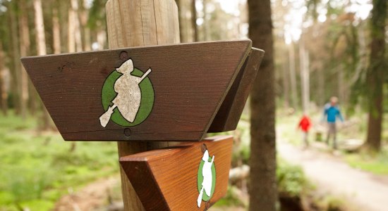 Harzer Hexen Stieg, © Harzer Tourismusverband e.V. /M. Gloger