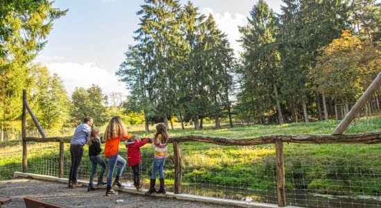 Aussichtspunkt zum Elchgehege im Wildpark Müden, © Wildpark Müden