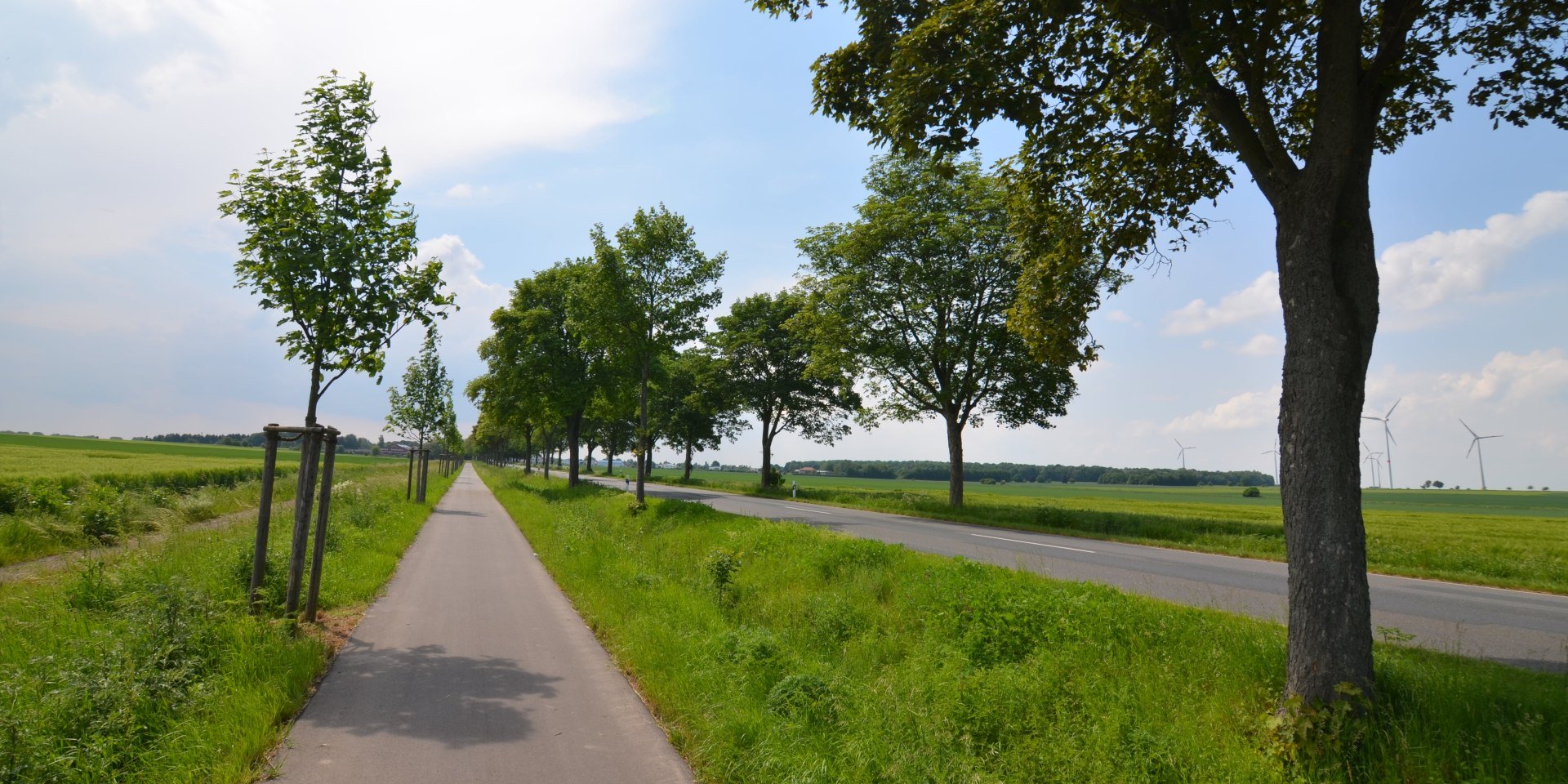 Allee des Monats Juli 2023, © Max Peters