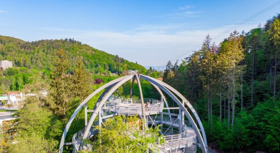 Eingangskrone des Baumwipfelpfads, © Stadtmarketing Bad Harzburg, Best Mountain Artists