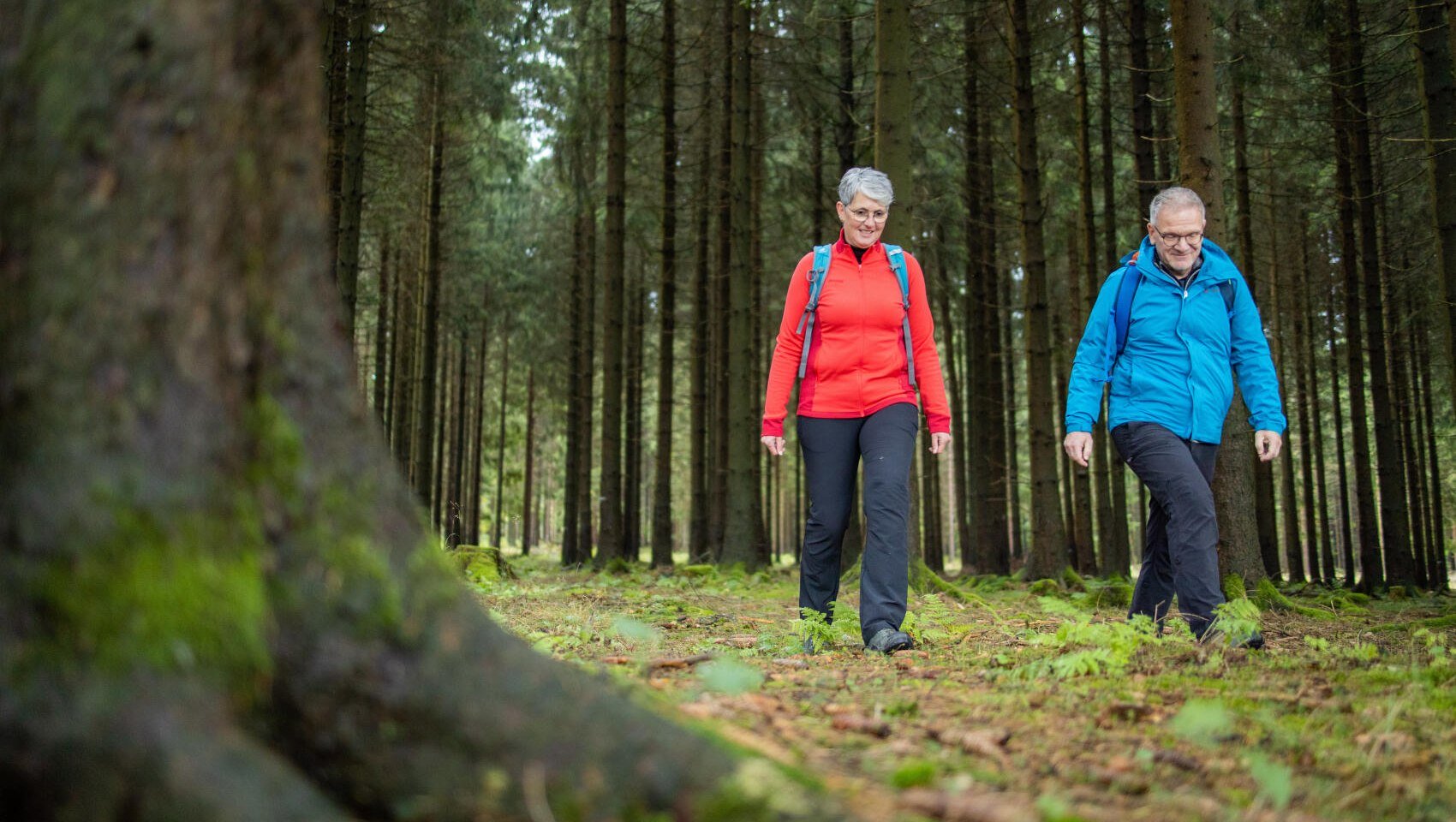 Wanderer im Wald, © CC BY-SA: SVR/KoernerPaeslack