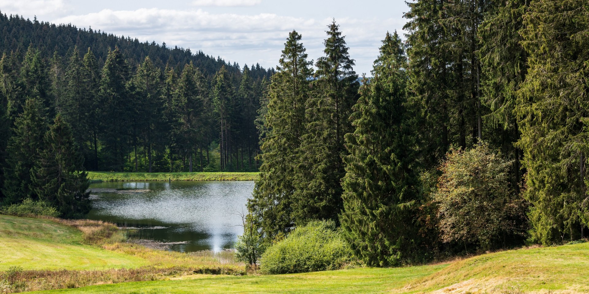 Braunlager Almauftrieb , © TMN/ Markus Tiemann