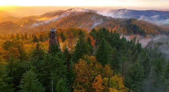 Blick auf den Ebersnackenturm, © Marc Sprödefeld