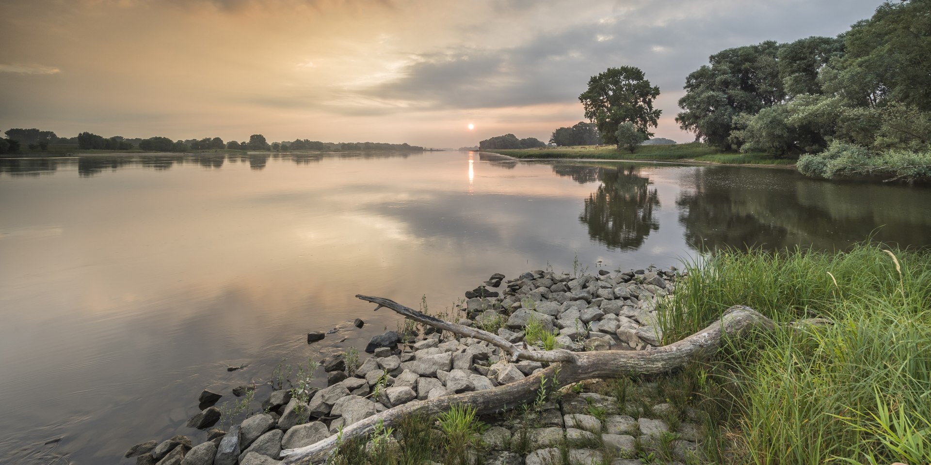 Morgenstimmung an der Elbe , © TMN/ Dieter Damschen