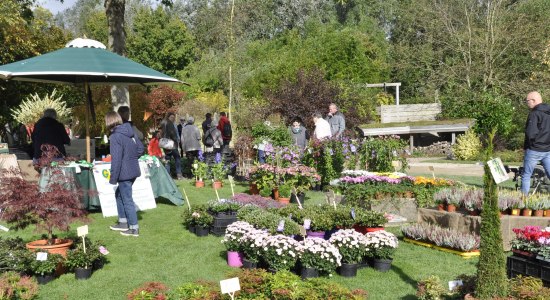 Herbstmarkt im Park der Gärten, © Park der Gärten Herbstmarkt im Park der Gärten, © Park der Gärten