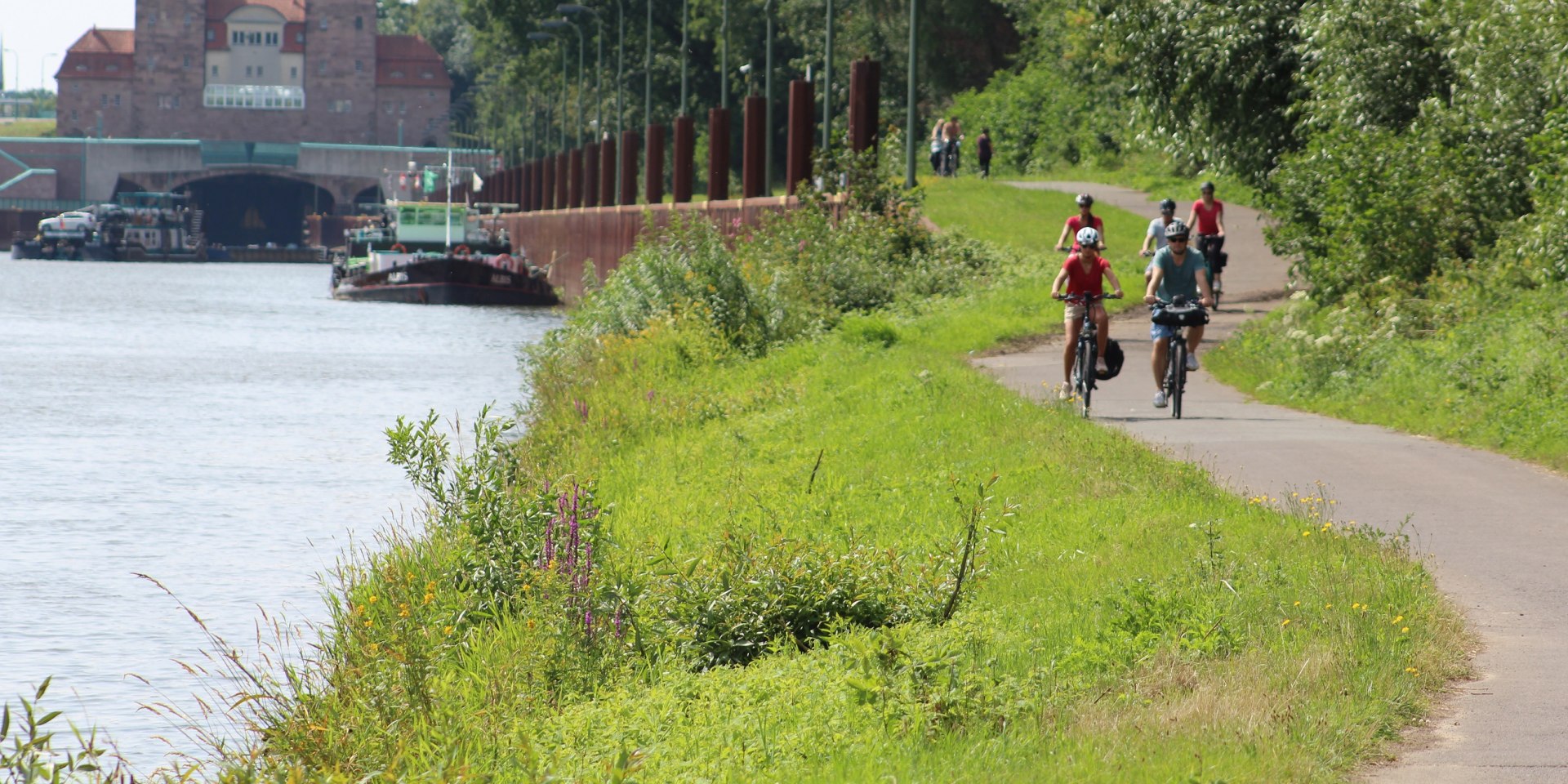 Das Radlerparadies Mittelweser bietet neben dem Weser-Radweg ein ausgeschildertes Radwegentz mit mehr als 40 Tagesrundtouren, © Mittelweser-Touristik GmbH