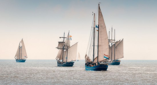 Sailing-Cup, © Rainer Ganske Sailing-Cup, © Rainer Ganske