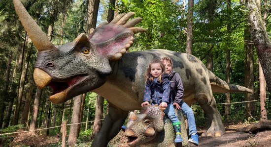 Sommerferienprogramm im Wildpark Schwarze Berge, © Wildpark Schwarze Berge GmbH &amp; Co. KG