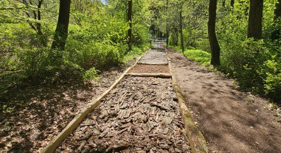 Barfusspark, © Barfußpark Barfusspark, © Barfußpark