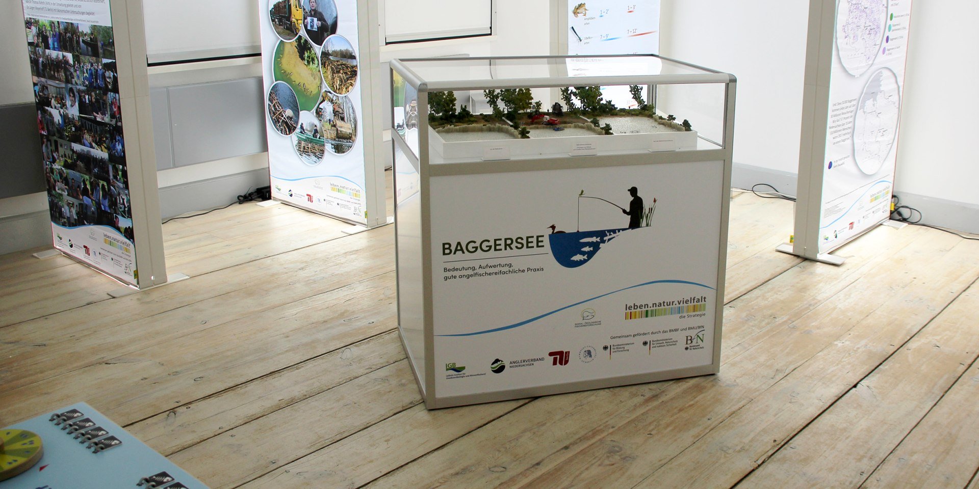 Baggersee-Forschung anschaulich vermittelt , © Biosphaerium Elbtalaue GmbH