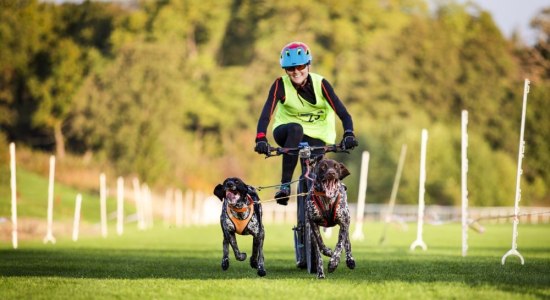 Luchstrail, © Ralf Metschulat,  Niedersächsischer Schlittenhundesportverband e.V./Johannes Heyn