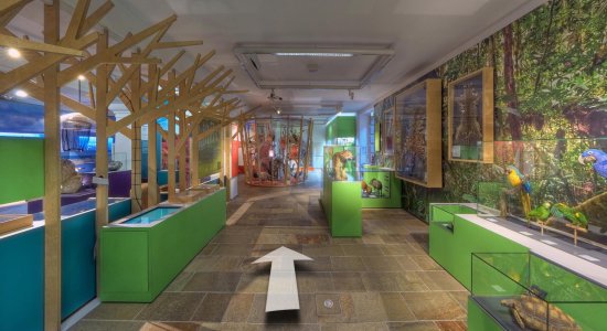 Ausschnitt aus dem MediaGuide NaturWelten, WasserWelten, © Landesmuseum Hannover