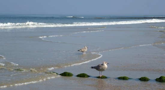 Ostfriesland Strand, © www.ostfriesland.travel Ostfriesland Strand, © www.ostfriesland.travel