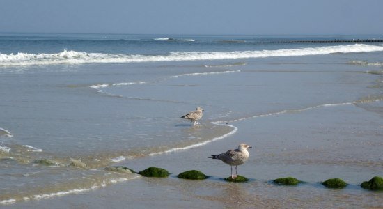 Ostfriesland Strand, © www.ostfriesland.travel Ostfriesland Strand, © www.ostfriesland.travel