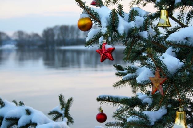 Geschmückter Weihnachtsbaum, © Biosphaerium Elbtalaue GmbH