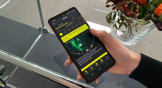 Veranstaltungskalender in der Wolfsburg-App, © WMG Wolfsburg