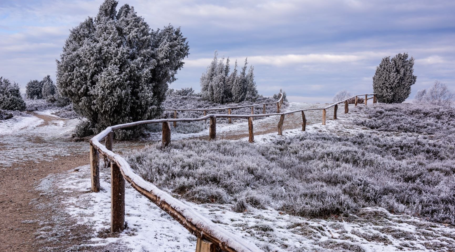 Heide im Winter, © TMN/Markus Tiemann