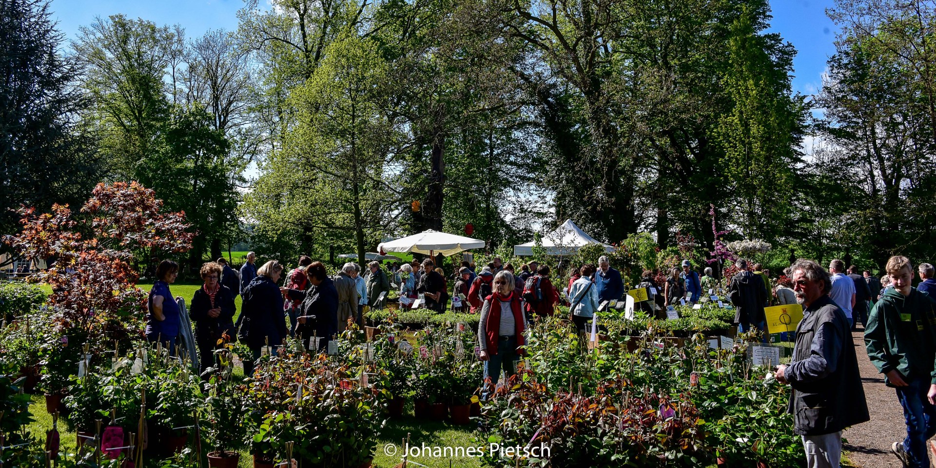 RIttergut Remeringhausen Pflanzentage, © Johannes Pietsch RIttergut Remeringhausen Pflanzentage, © Johannes Pietsch