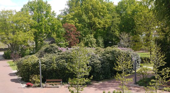 Rhodobarometer in Bad Zwischenahn, © Bad Zwischenahner Touristik GmbH
