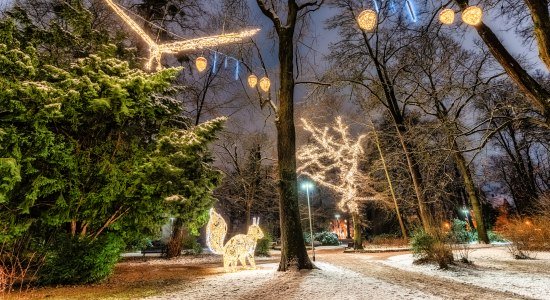 Lichterzauber, © Hann. Münden Marketing GmbH, Jules Stolzenhain