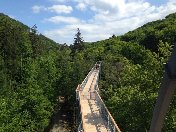 Baumwipfelpfad Harz