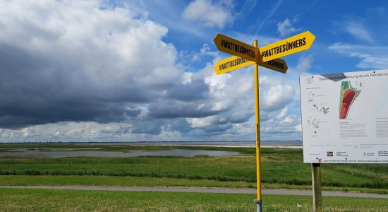 #wattbesünners: Wegweiser Campener Leuchtturm, © Ostfriesland Tourismus GmbH