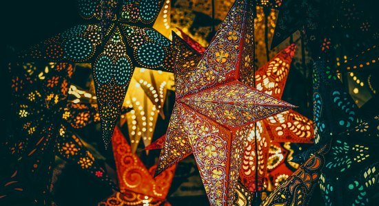 Weihnachtssterne, © KurT Bad Nenndorf Weihnachtssterne, © KurT Bad Nenndorf