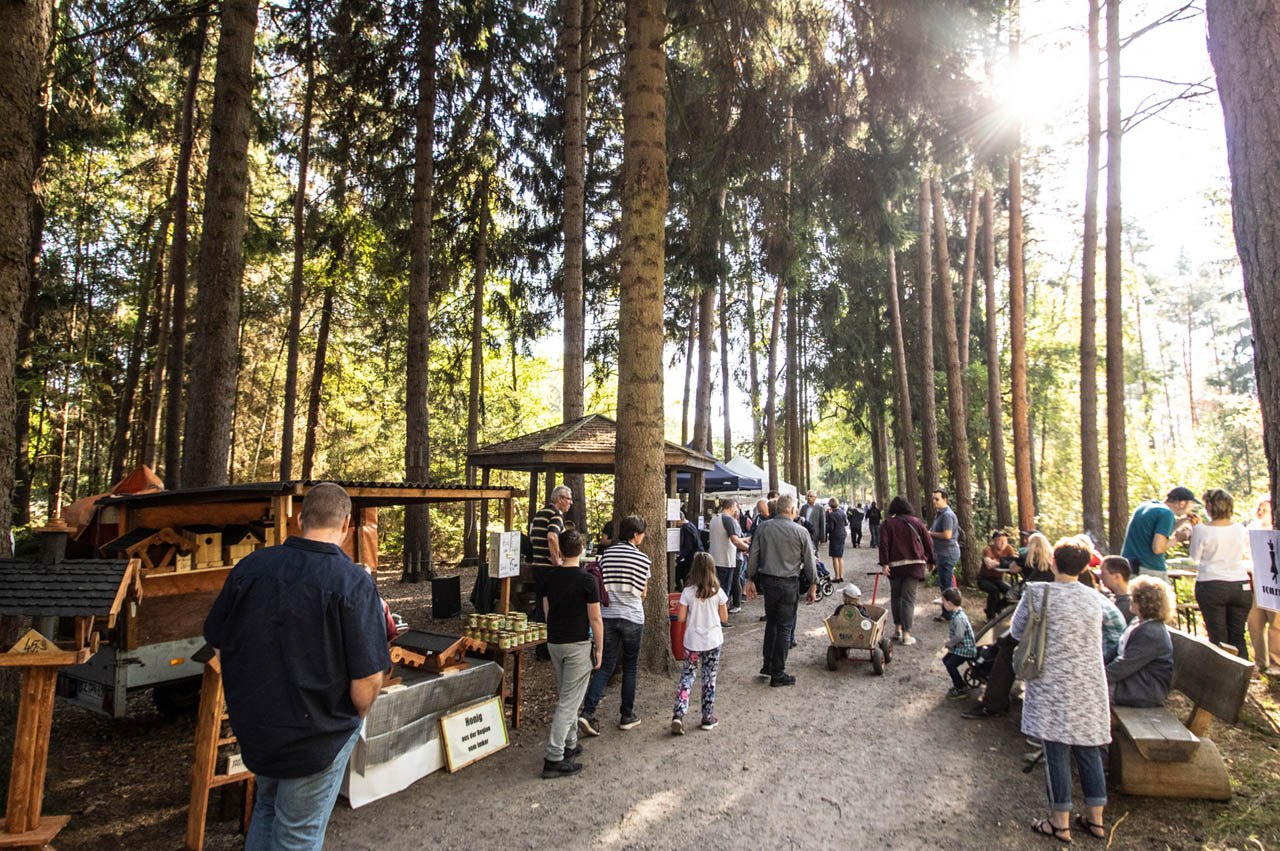 Schlendern und stöbern im Wildpark, © Wildpark Müden GmbH Schlendern und stöbern im Wildpark, © Wildpark Müden GmbH