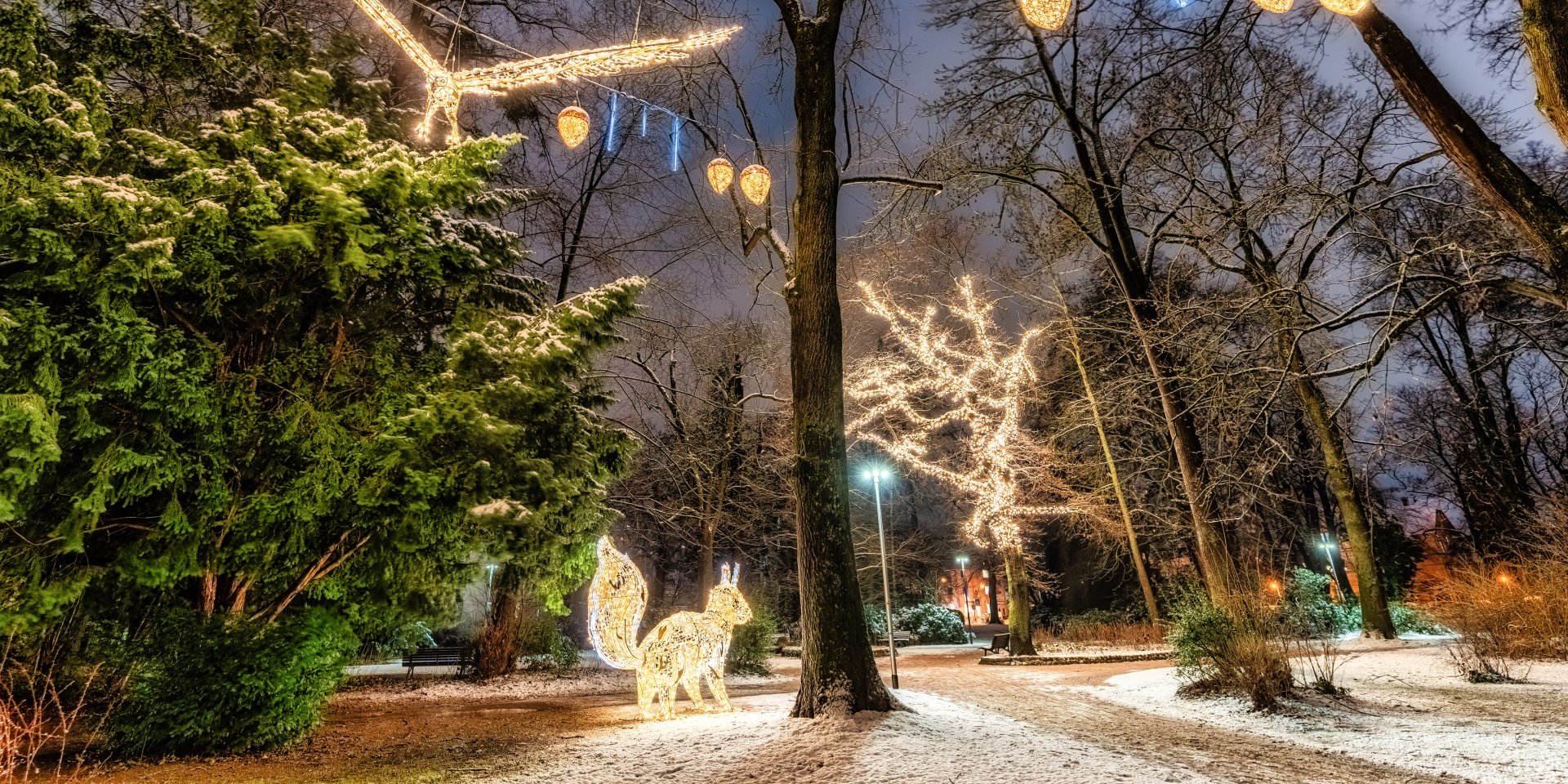 Lichterzauber, © Hann. Münden Marketing GmbH, Jules Stolzenhain