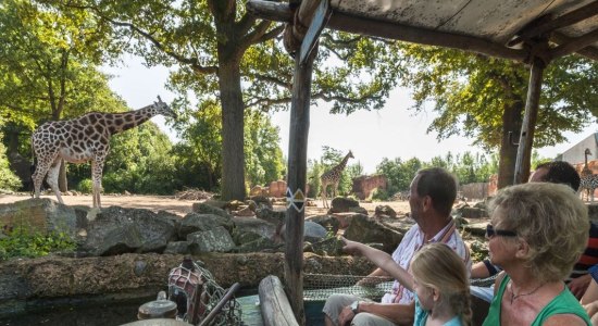 Bootsfahrt auf dem Sambesi, © Erlebnis-Zoo Hannover Bootsfahrt auf dem Sambesi, © Erlebnis-Zoo Hannover
