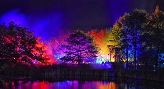 Illumination im Park, © Hans-Jürgen Zietz