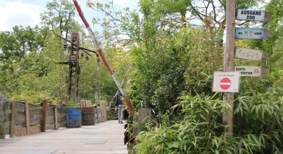 Einbahnregelung im Erlebnis-Zoo, © Erlebnis-Zoo Hannover Einbahnregelung im Erlebnis-Zoo, © Erlebnis-Zoo Hannover