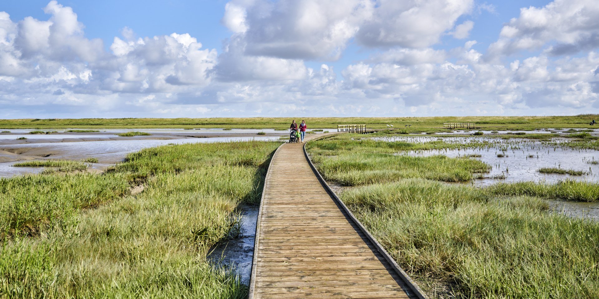 Steg Langwarder Groden , © Florian Trykowski, floriantrykowski.de