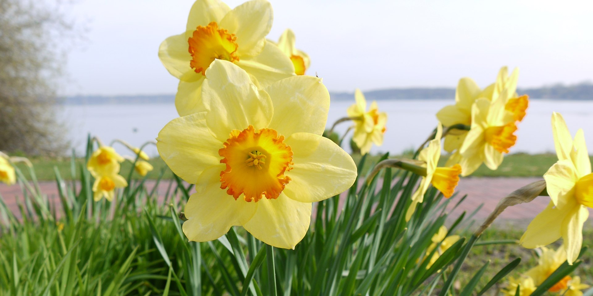 Der Frühling ist eine beliebte Jahreszeit bei Hobbydichtern, © Touristik-Service