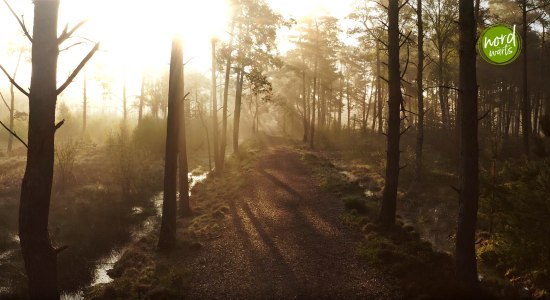 Film „Magische nordwärts-Region - der Landkreis Rotenburg (Wümme)“, © Alexander Kaßner - Touristikverband Landkreis Rotenburg (Wümme)