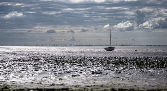 Wattenmeer vor Juist, © Lars Wehrmann Wattenmeer vor Juist, © Lars Wehrmann