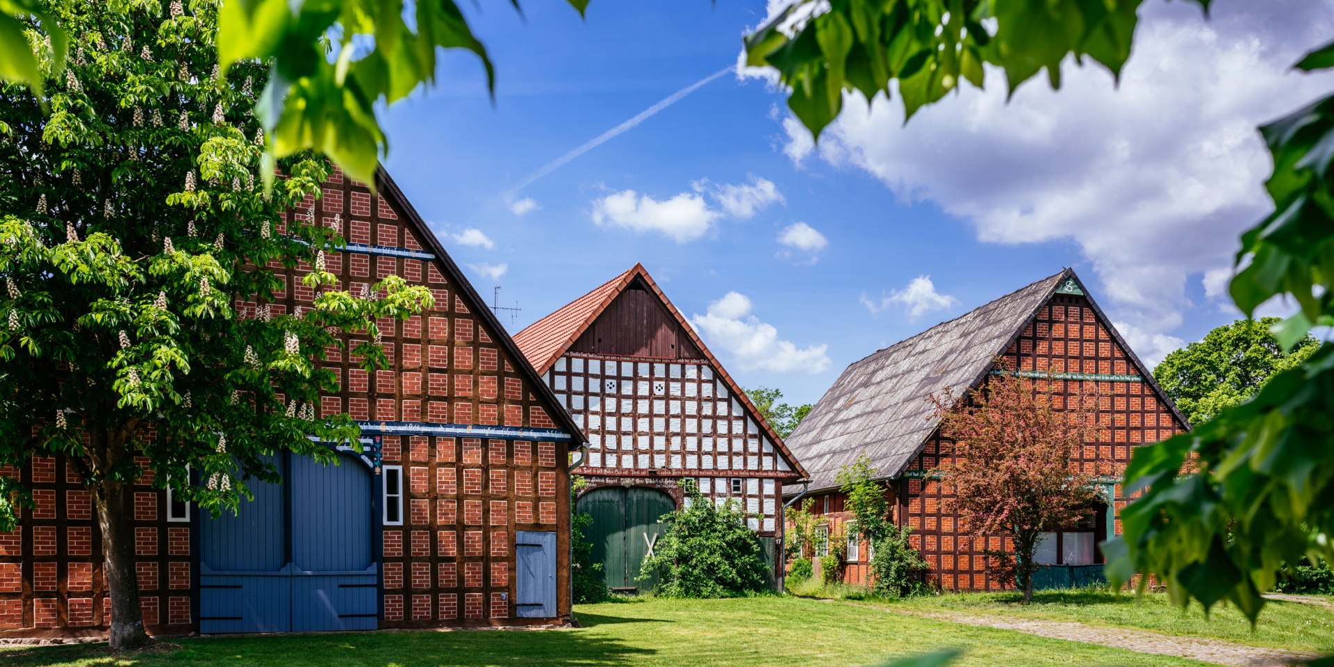 Drei Fachwerkhöfe im Rundlingsdorf Lübeln, © TourismusMarketing Niedersachsen GmbH / Markus Tiemann