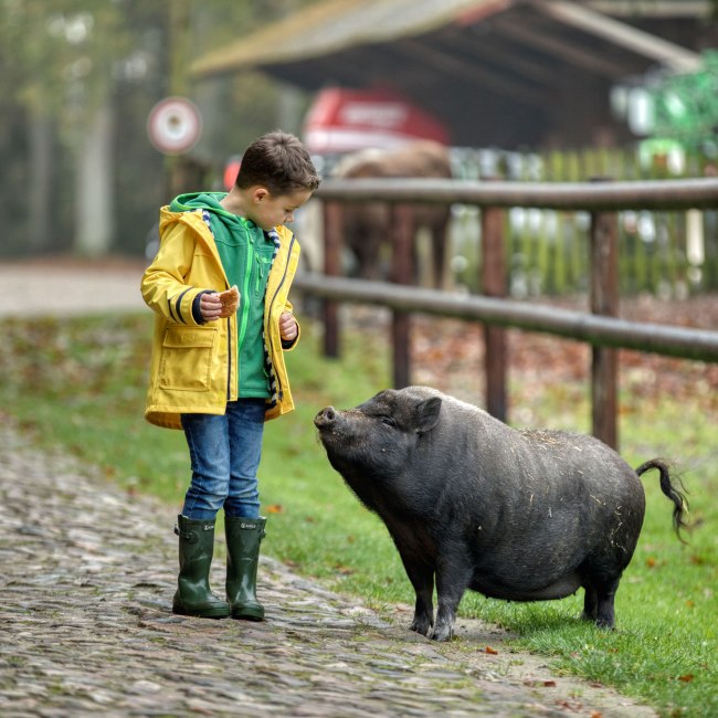 Kind mit Schwein , © TMN/Christian Bierwagen