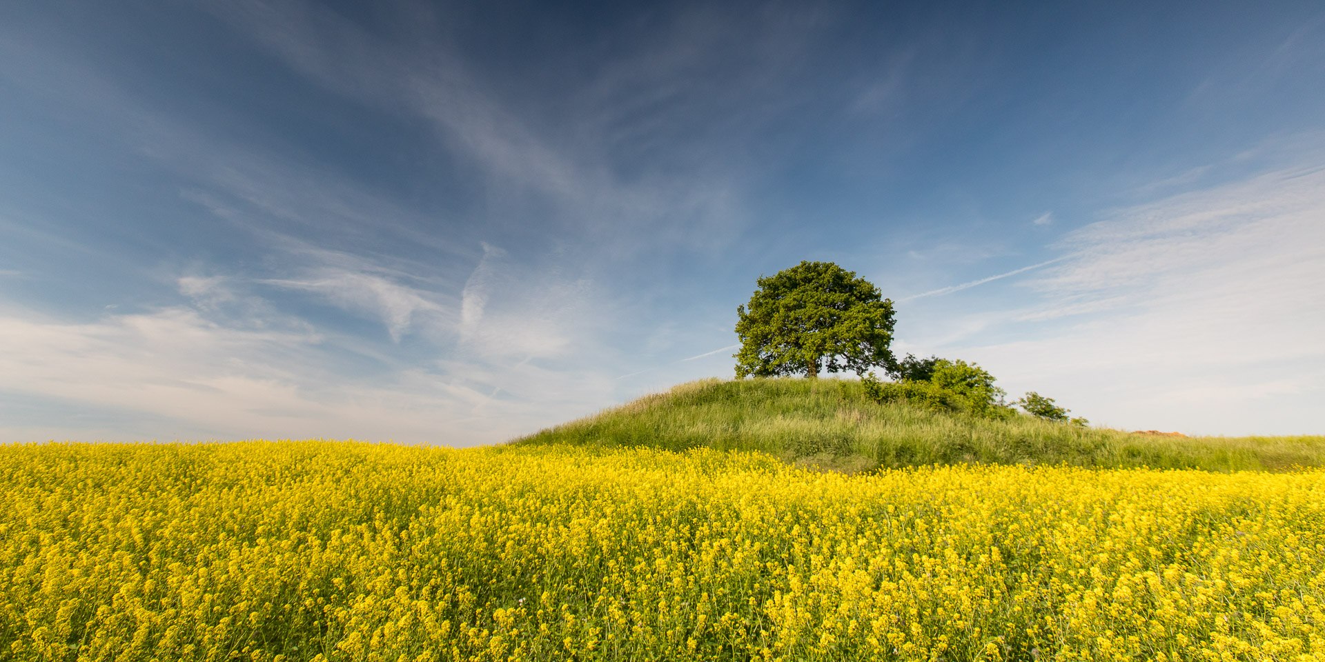 Hügelgrab Galgenberg bei Klein Vahlberg im Elm, © TMN/Jürgen Borris